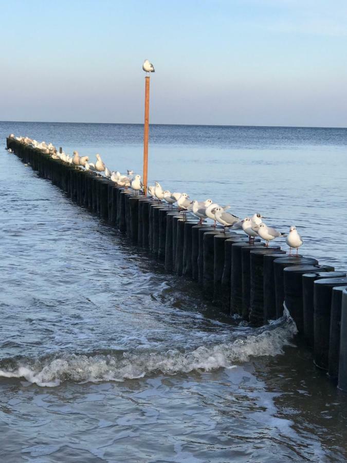 Apartament „Nova Polana” Kolobrzeg Polanki Park Esterno foto